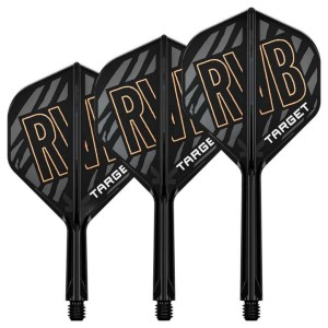 Target K-Flex Raymond van Barneveld NO2